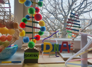 Nici DNA