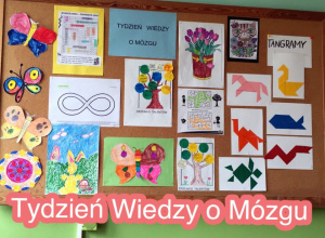 Tydzień Wiedzy o Mózgu