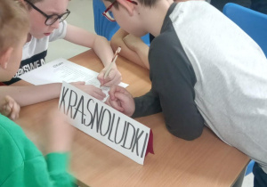 Zdjęcie 13 na 15