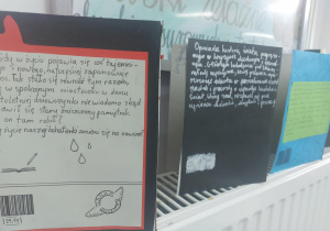 Zdjęcie 6 na 13
