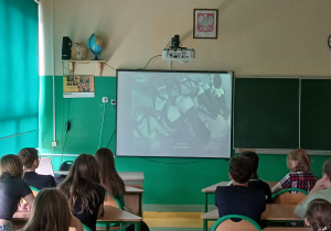 Zdjęcie 5 na 5