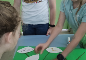 Zdjęcie 2 na 14