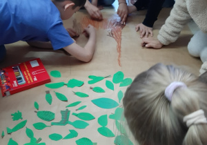 Zdjęcie 9 na 14
