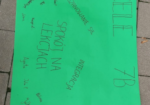 Zdjęcie 13 na 13