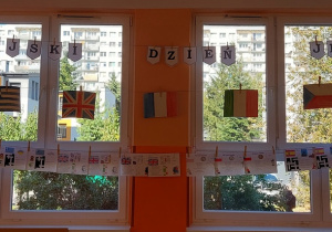 Zdjęcie 11 na 12