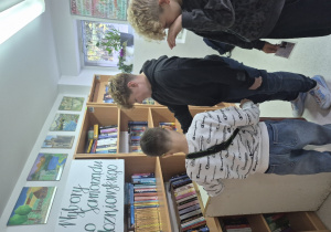 Zdjęcie 9 na 29