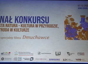 Nagroda w konkursie filmowym
