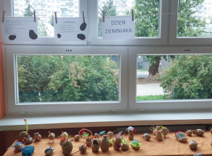 DZIEŃ ZIEMNIAKA